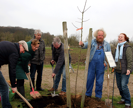 Pflanzung des Dithmarscher Paradiesapfels 
