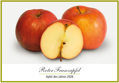 Roter Franzapfel